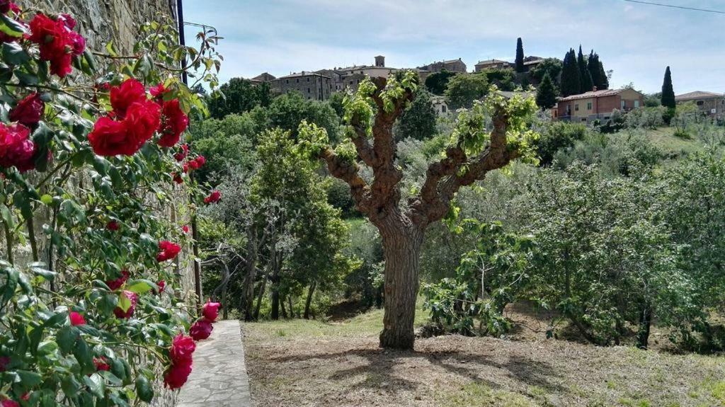 Colombaio In Colle Bed & Breakfast Sant'Angelo in Colle Eksteriør bilde