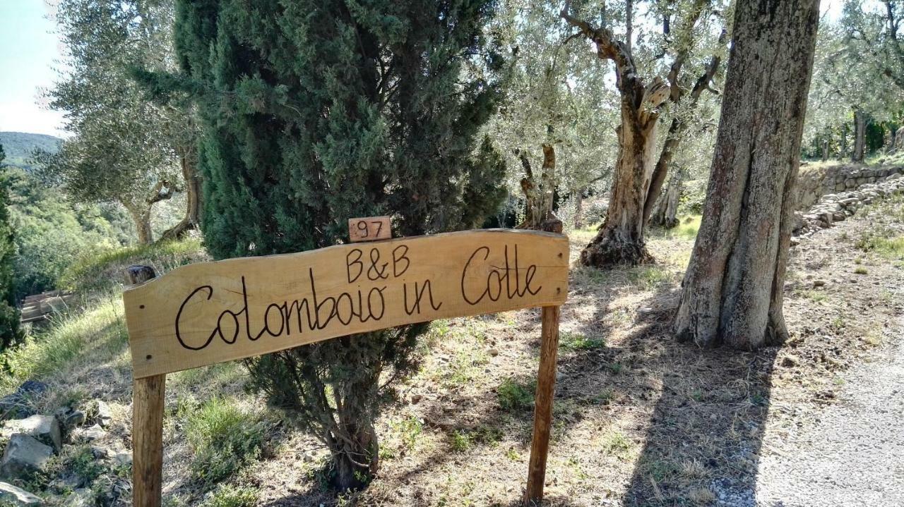 Colombaio In Colle Bed & Breakfast Sant'Angelo in Colle Eksteriør bilde